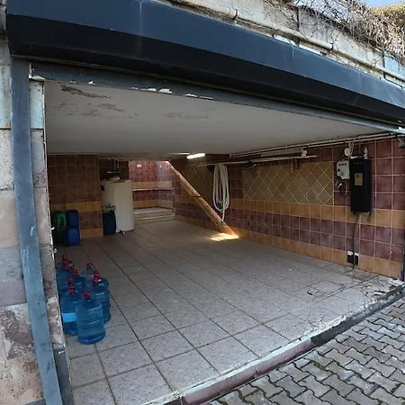 Moon فيلة جبز